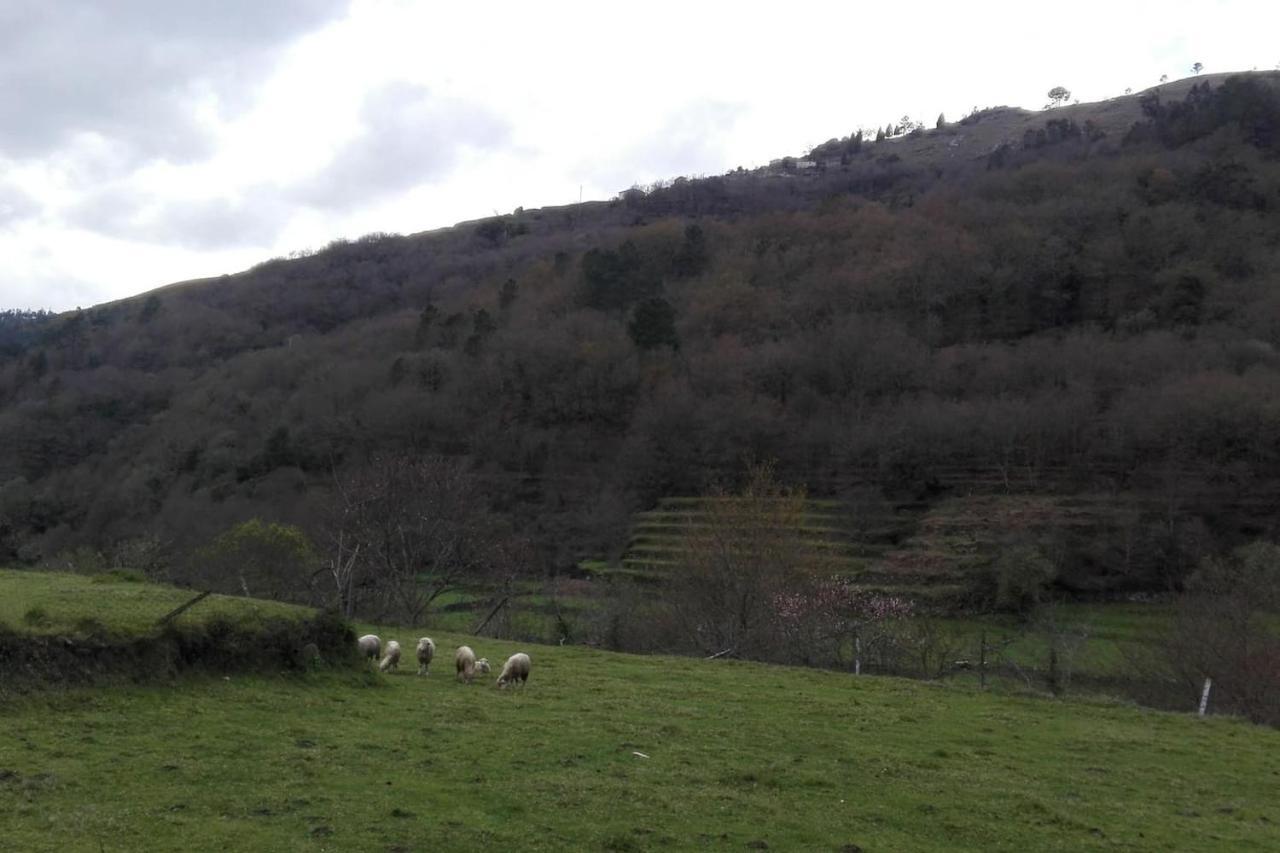 Villa Quinta Da Imaculada Arcos de Valdevez Esterno foto