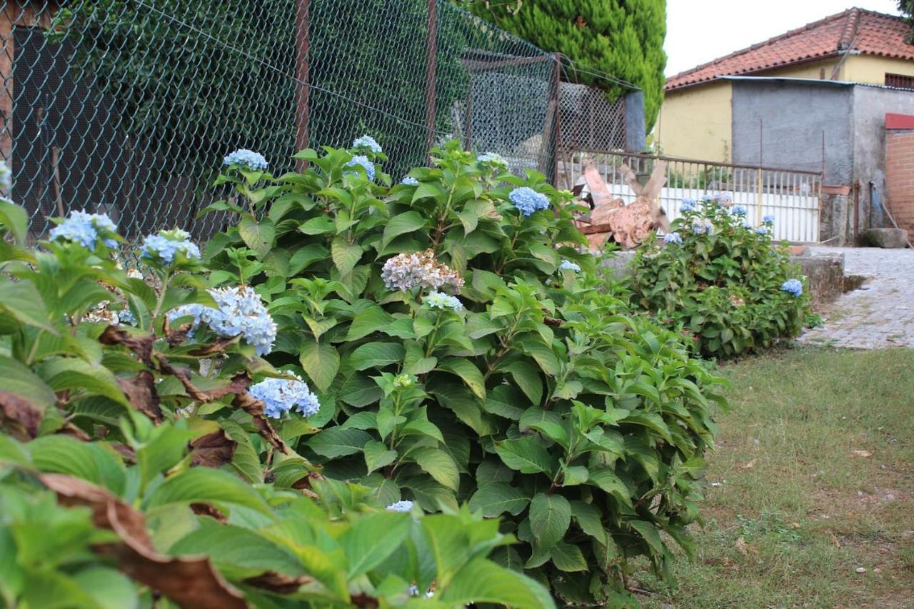 Villa Quinta Da Imaculada Arcos de Valdevez Esterno foto
